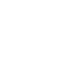 Icon of a school with a shield and lock over it
